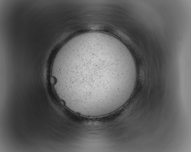 X0000088420730200706191215