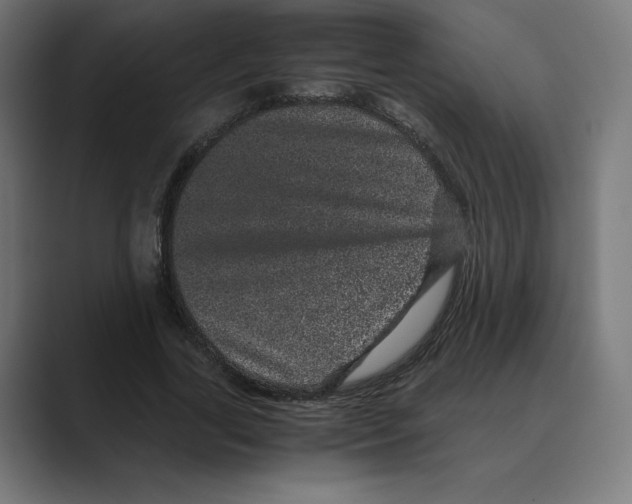 X0000088420731200706191215