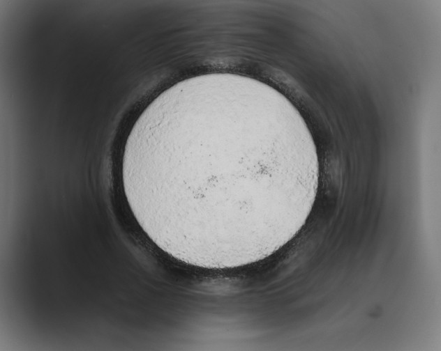 X0000088420734200706191215