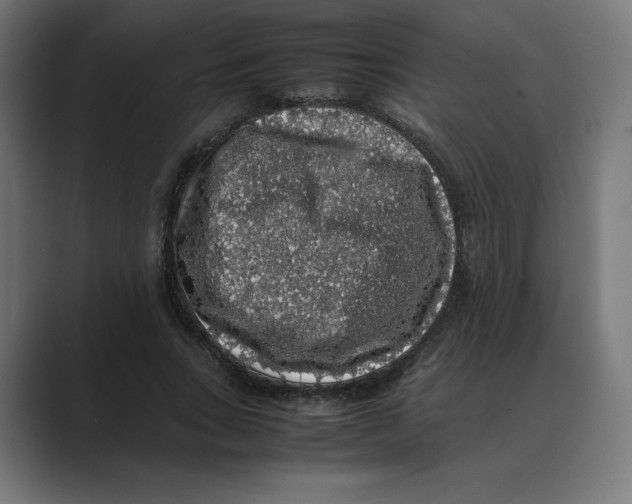 X0000088420735200706191215