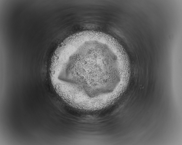 X0000088420737200706191215