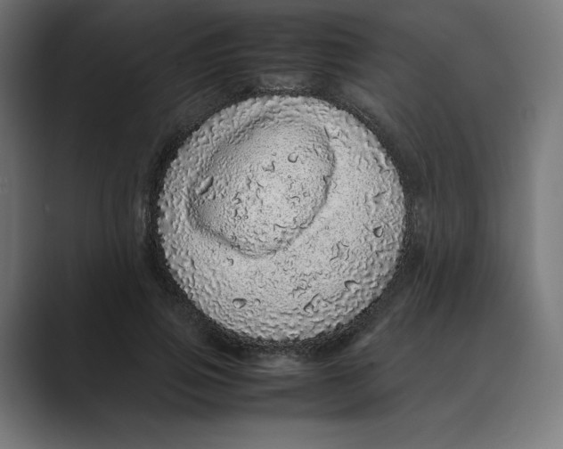 X0000088420741200706191215