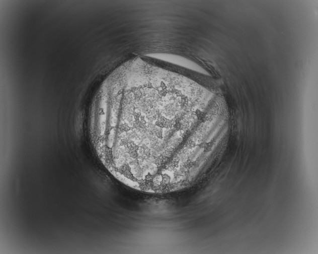 X0000088420742200706191215