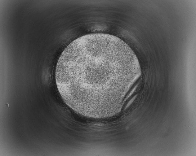 X0000088420743200706191215