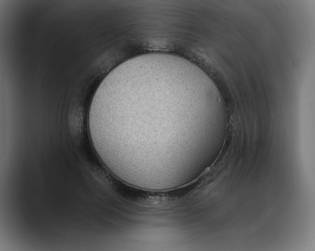 X0000088420744200706191215