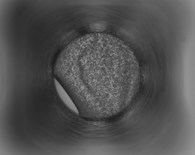 X0000088420745200706191215