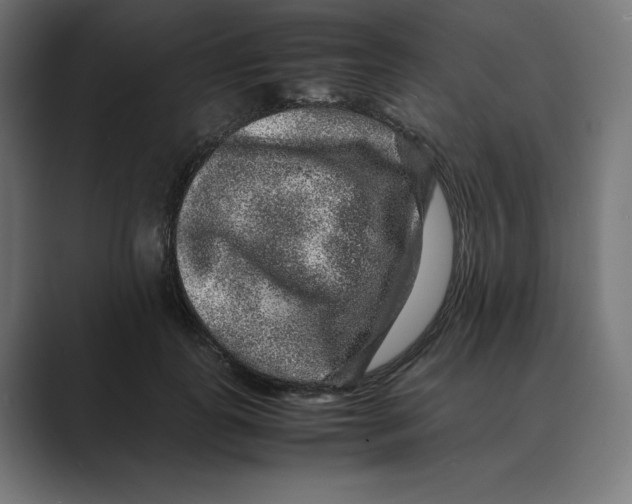 X0000088420747200706191215