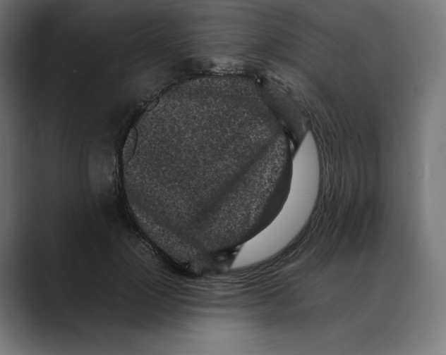 X0000088420748200706191215