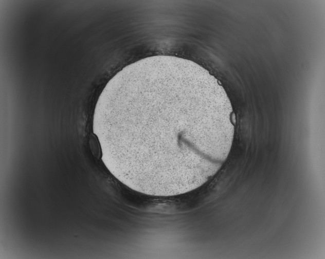 X0000088420750200706191215