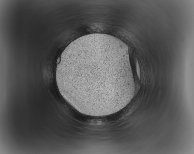 X0000088420751200706191216