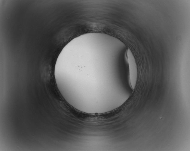 X0000088420752200706191216