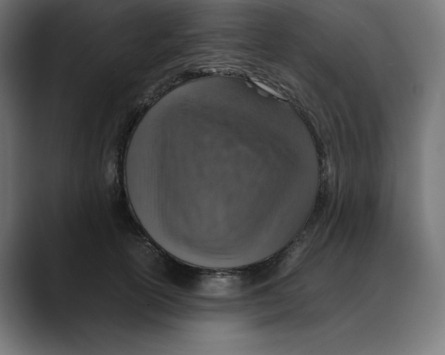 X0000088420754200706191216