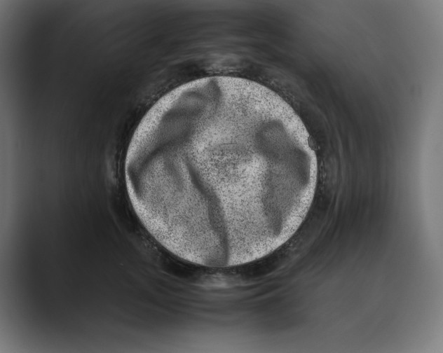X0000088420755200706191216