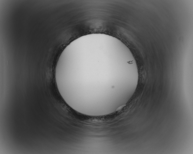 X0000088420756200706191216