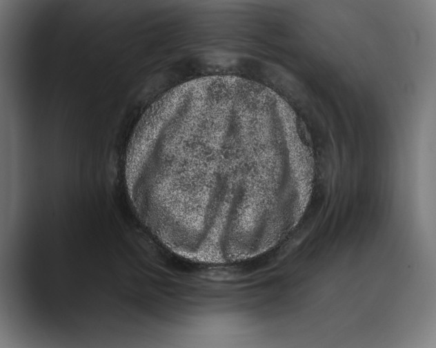 X0000088420758200706191216