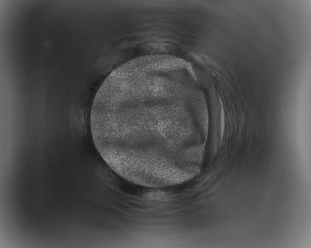 X0000088420759200706191216