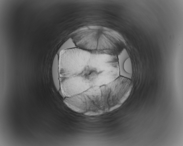 X0000088420761200706191216