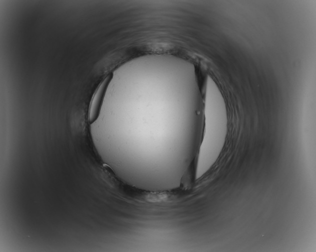 X0000088420762200706191216