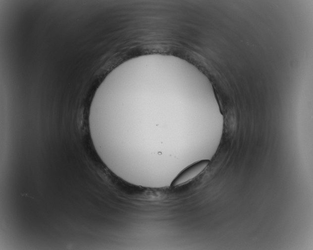 X0000088420764200706191216