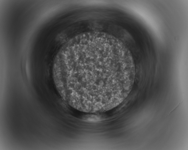 X0000088420765200706191216