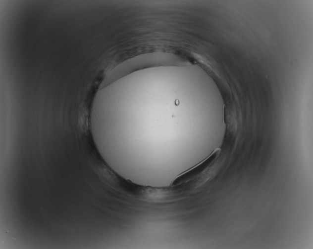X0000088420766200706191216