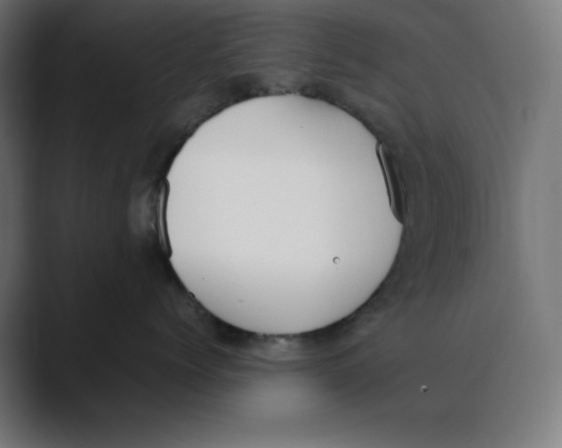 X0000088420768200706191216