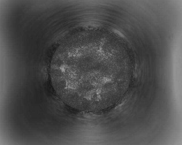X0000088420774200706191215