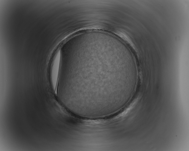 X0000088420781200706191215