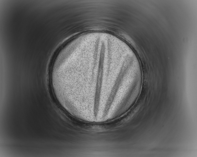 X0000088420787200706191215