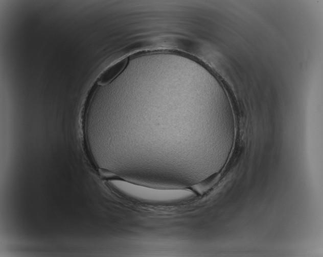 X0000088420789200706191215