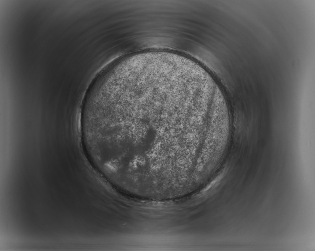 X0000088420790200706191215