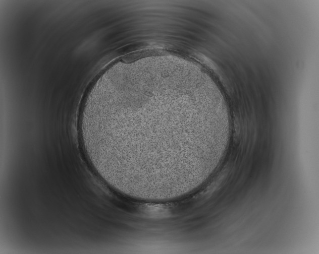X0000088420794200706191215