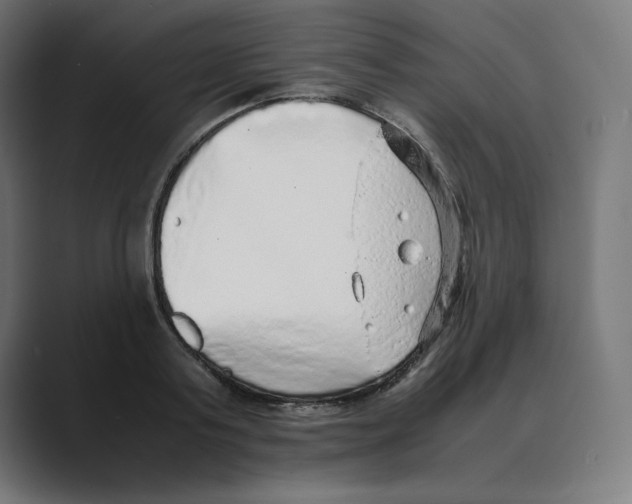 X0000088420795200706191215