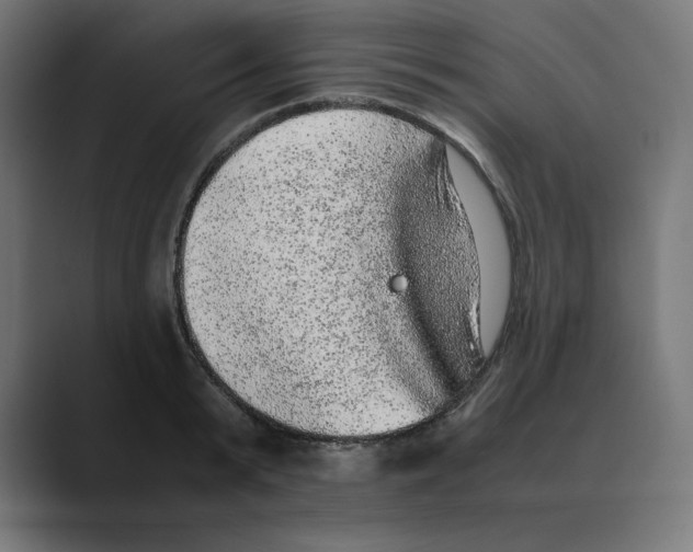 X0000088420799200706191215