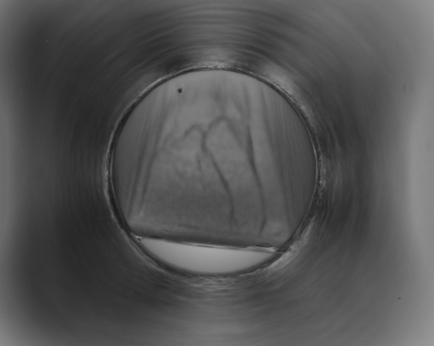 X0000088420802200706191215