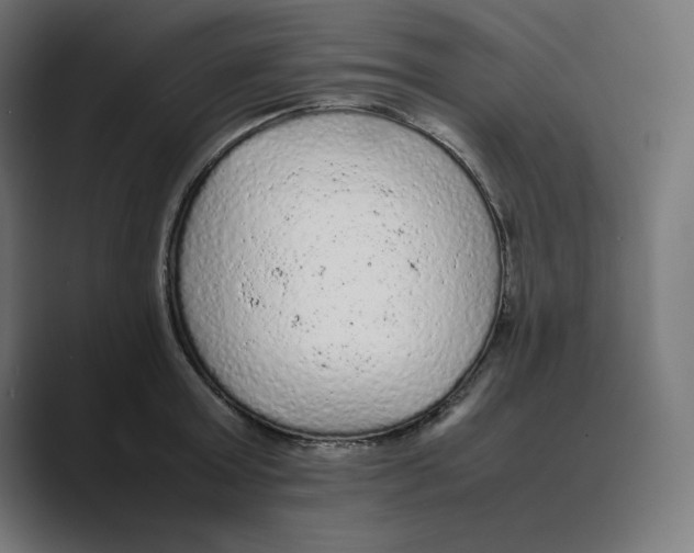 X0000088420803200706191215