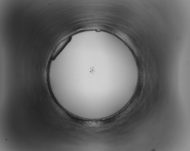 X0000088420805200706191215