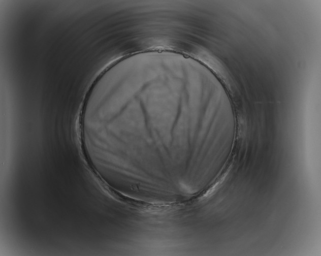X0000088420806200706191215
