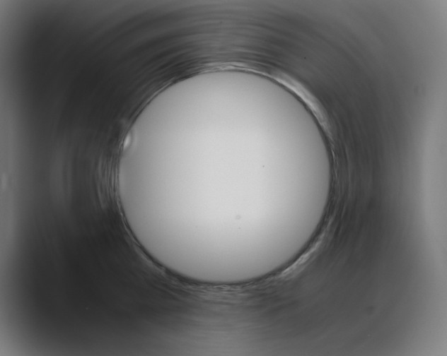 X0000088420809200706191215