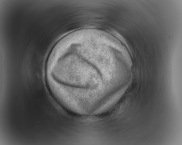 X0000088420811200706191215