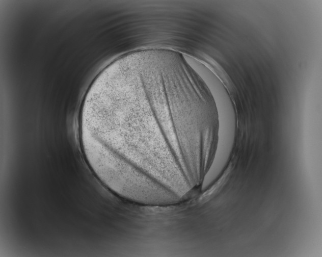 X0000088420812200706191215