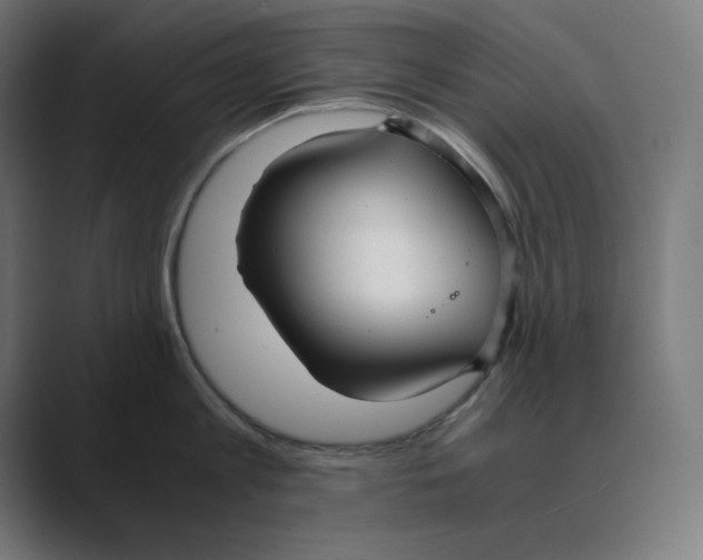 X0000088420813200706191215