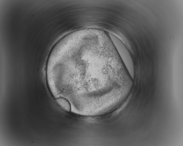 X0000088420814200706191215