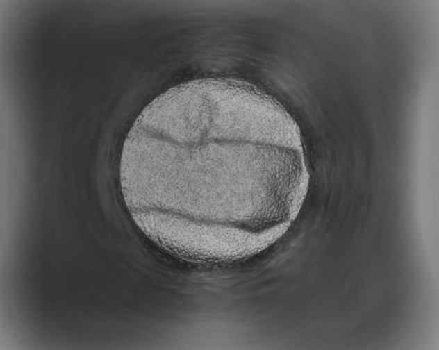 X0000088420817200706191214
