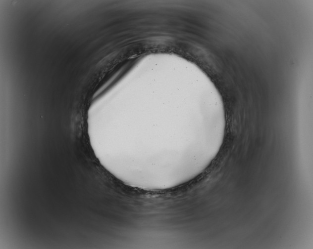 X0000088420821200706191214
