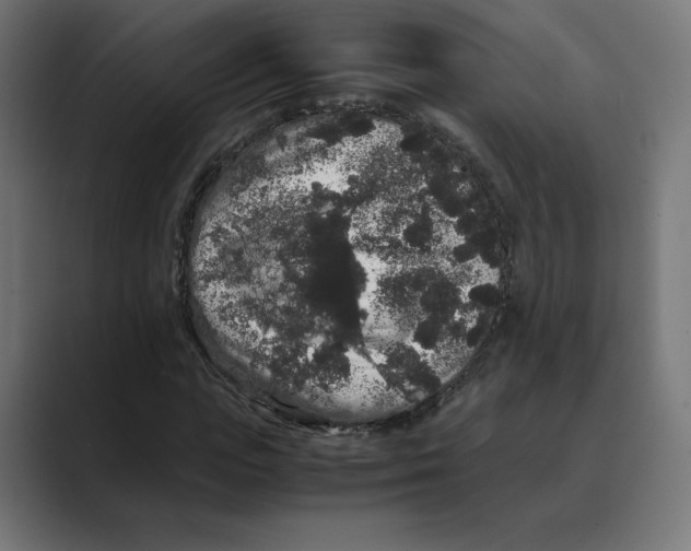 X0000088420823200706191214