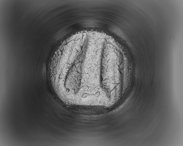 X0000088420825200706191214