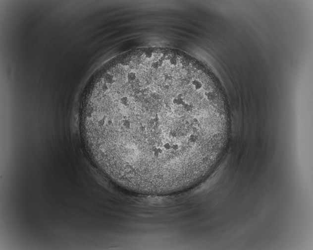 X0000088420827200706191214