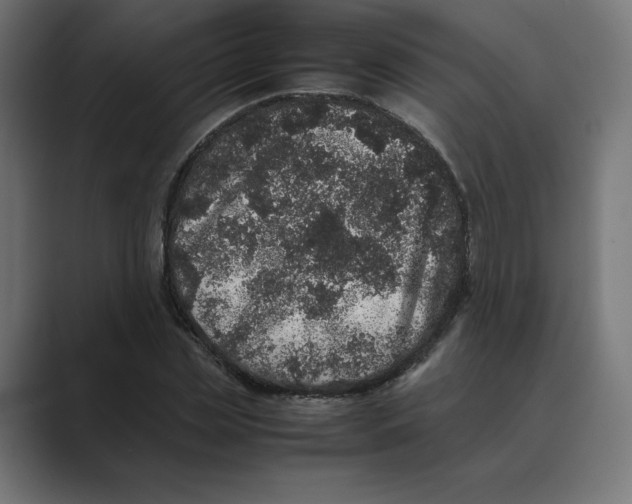 X0000088420829200706191214