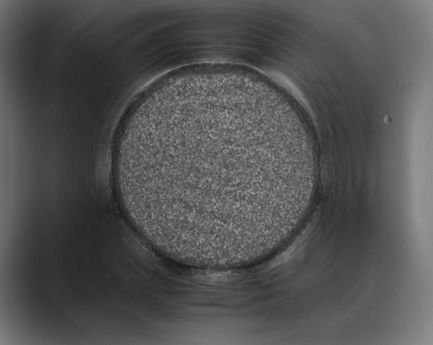 X0000088420831200706191214